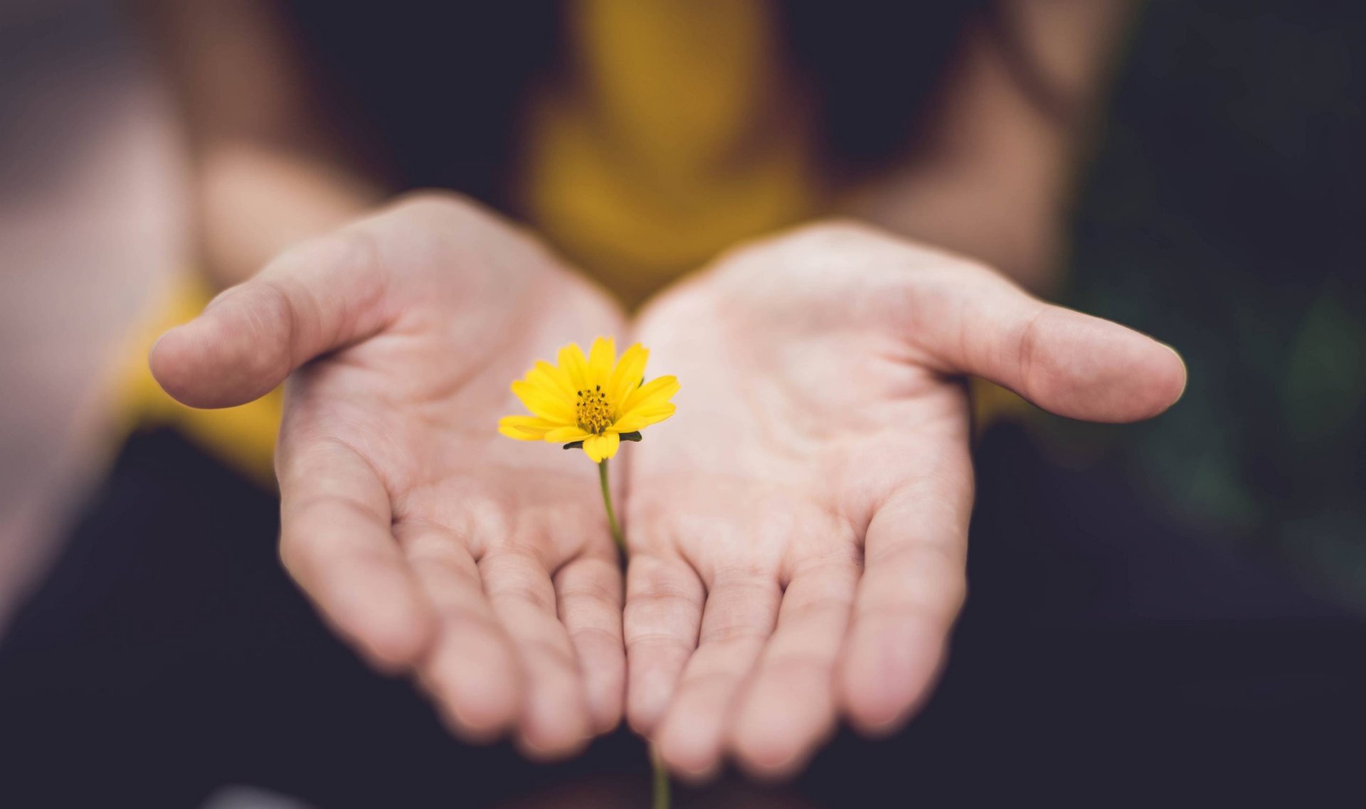 Emozioni di Primavera al Soley